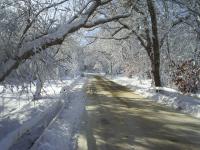 No Mopeds Today By Alex Goethals